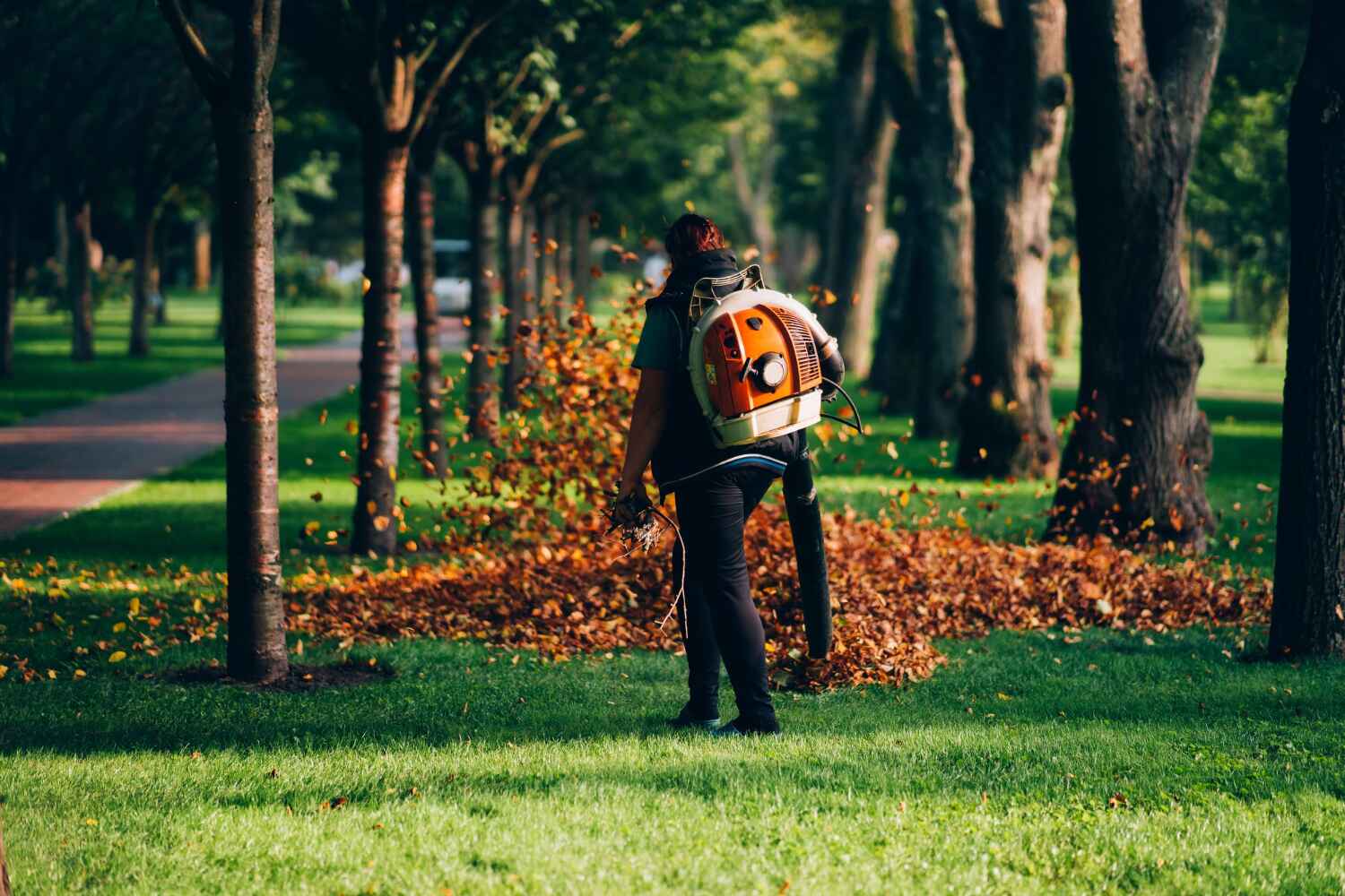 Best Tree Removal for Businesses  in Hillsdale, MI